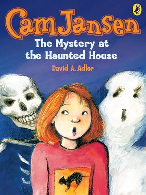 cover image of The Mystery at the Haunted House